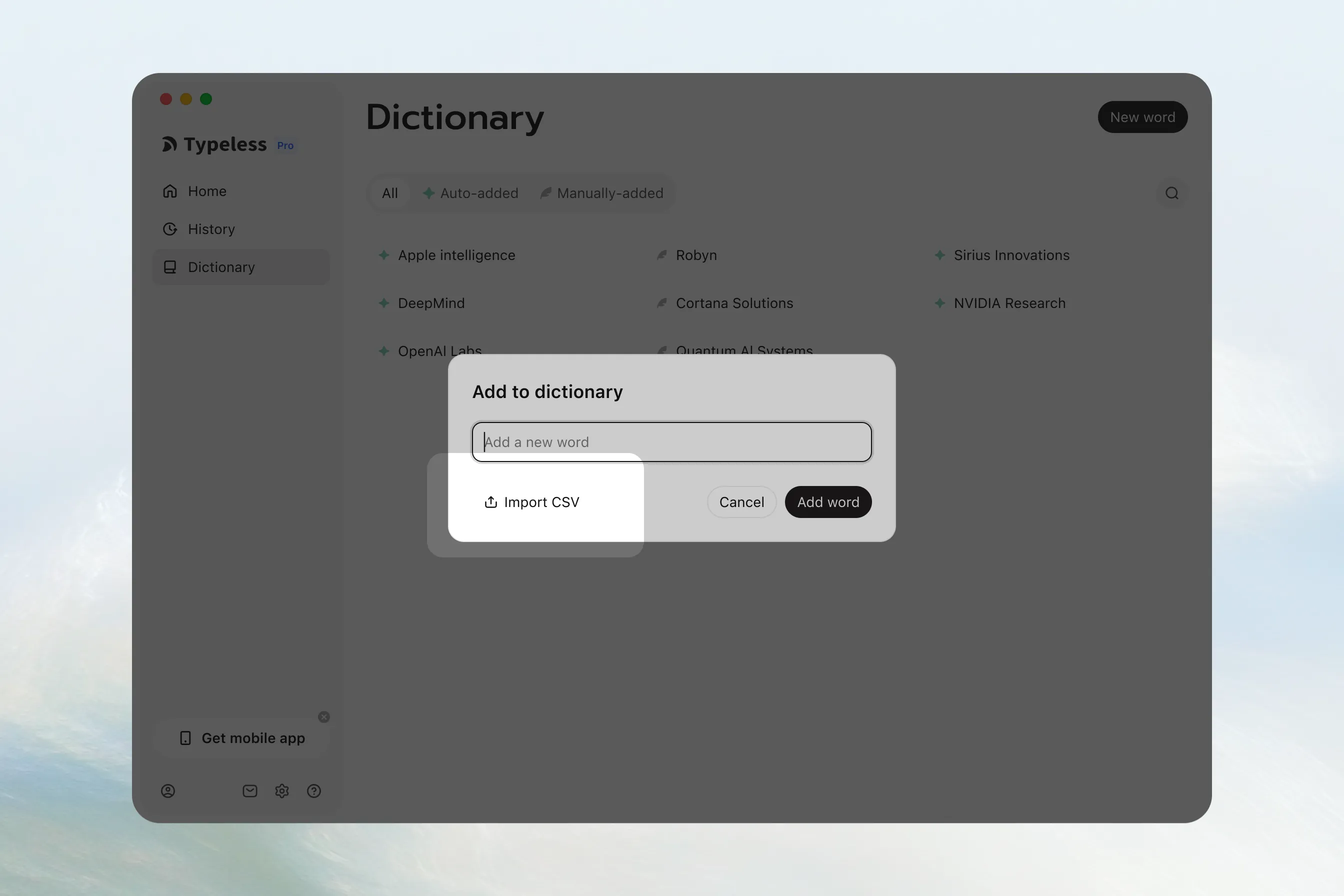 Import Dictionary words from a CSV file